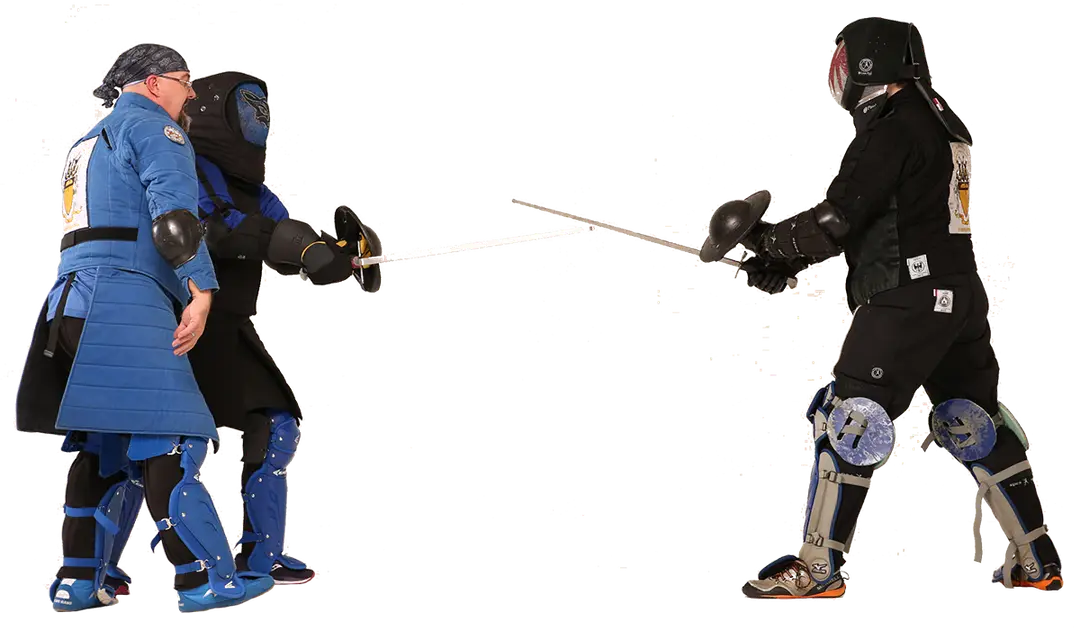 The Academy of European Swordsmanship