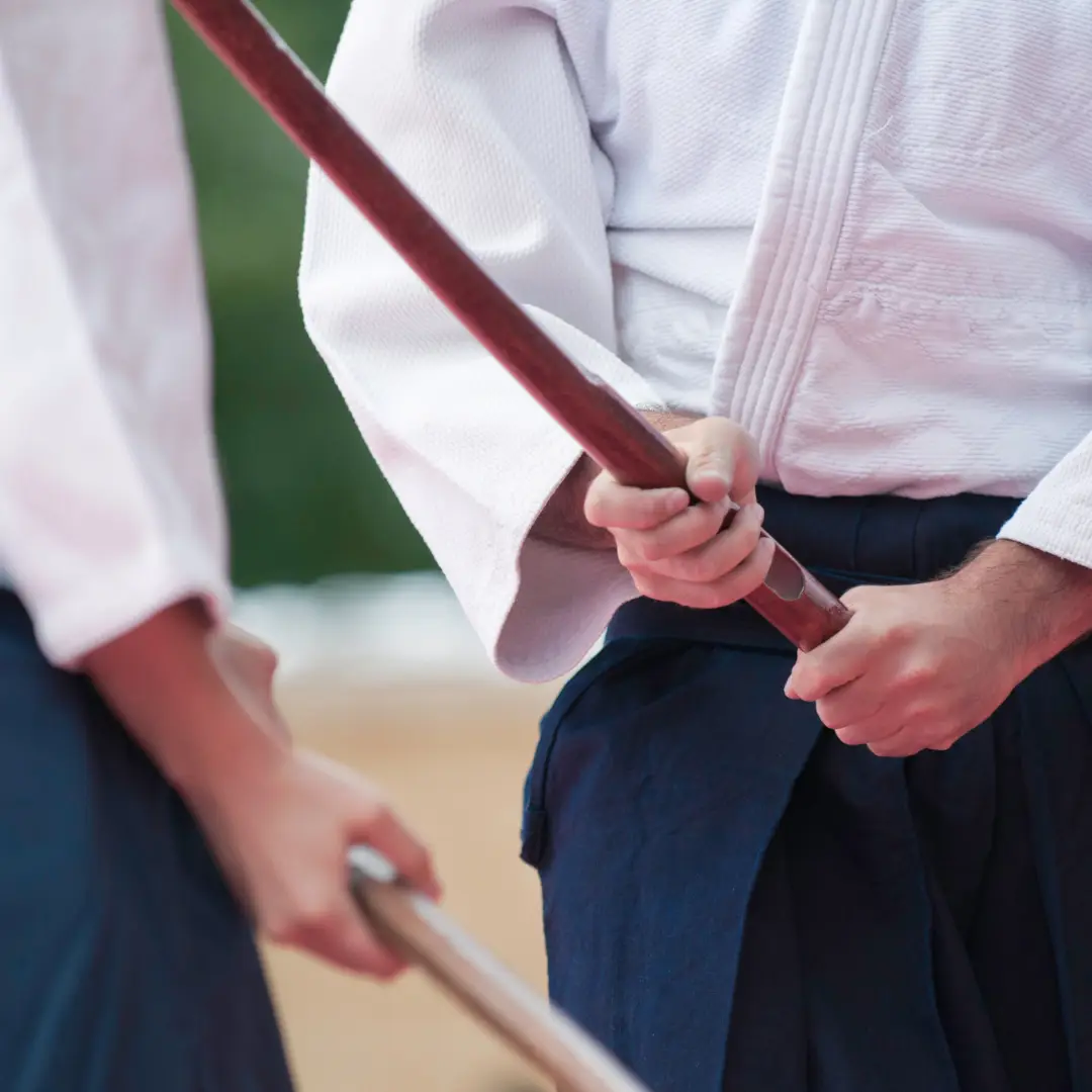 Aikido Cranves-Sales