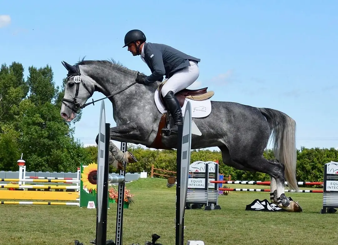 Take off equestrian