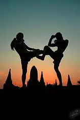 Mang gon Thai Boxing Gym