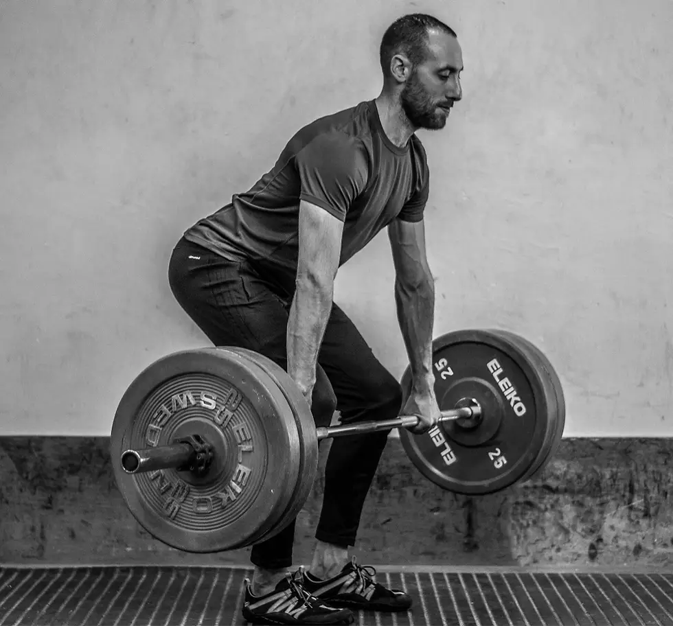 Fitness Renaissance