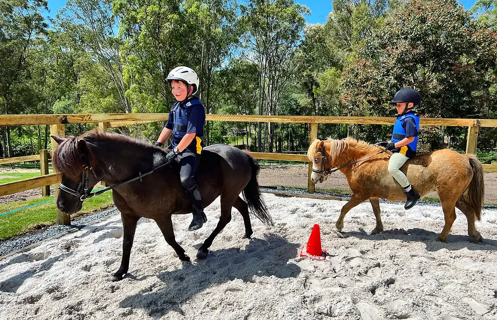 Unity Equestrian Centre
