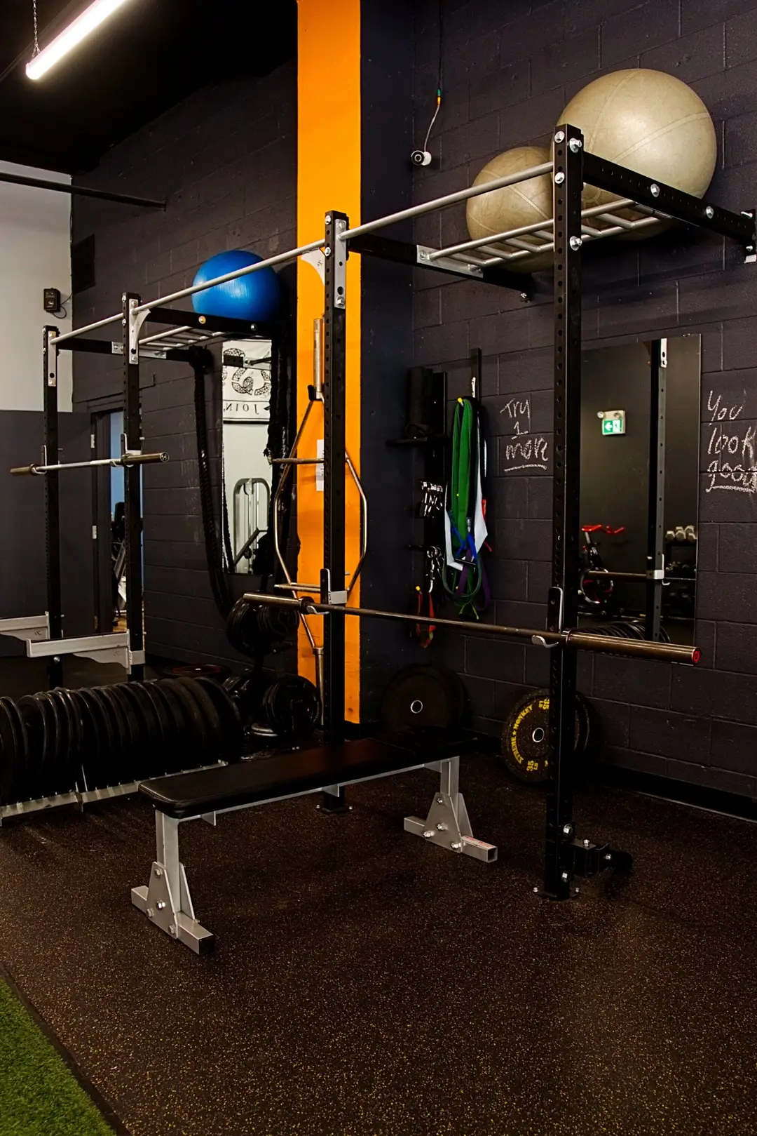 The Fitness Guild