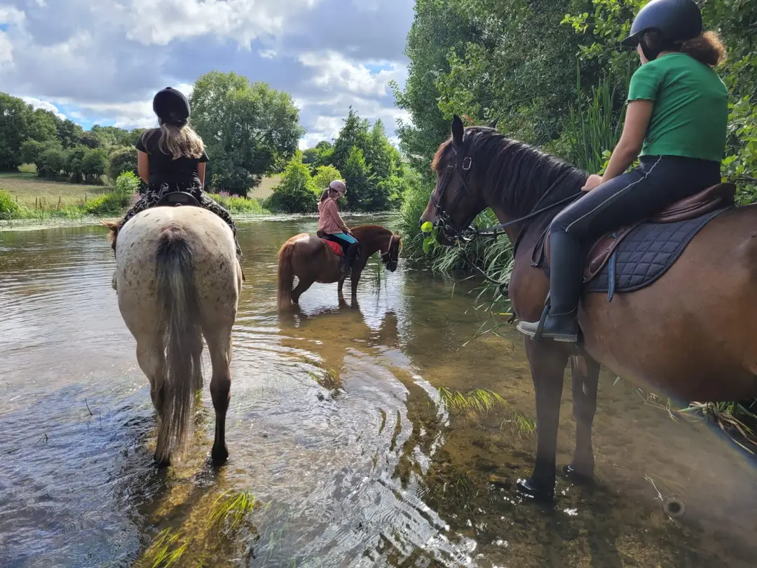 Pony Club Des Retrouvailles