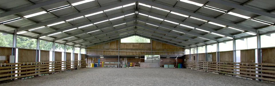 Whangarei RDA