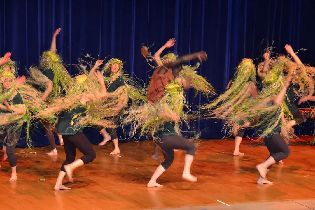 Dance Africaine À Albertville | Dance Association Ethnique