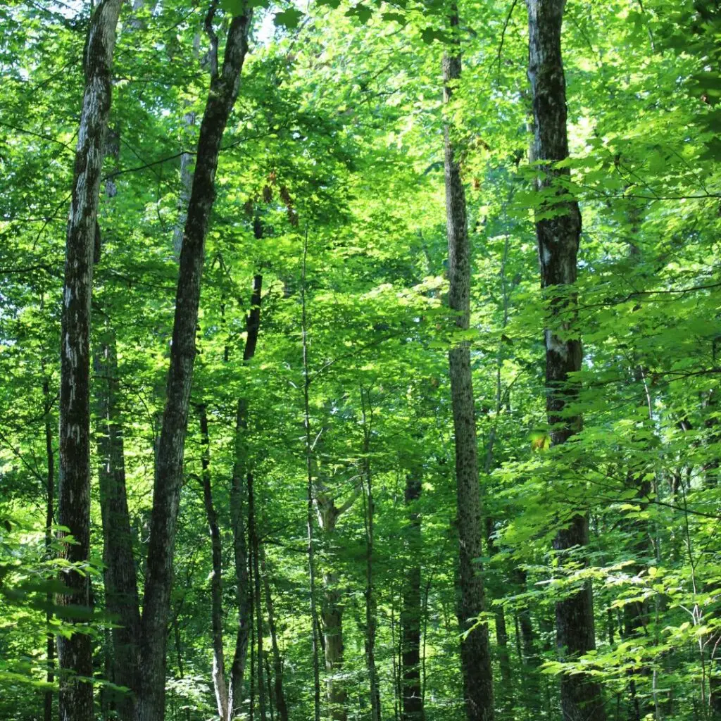 Kawartha Land Trust