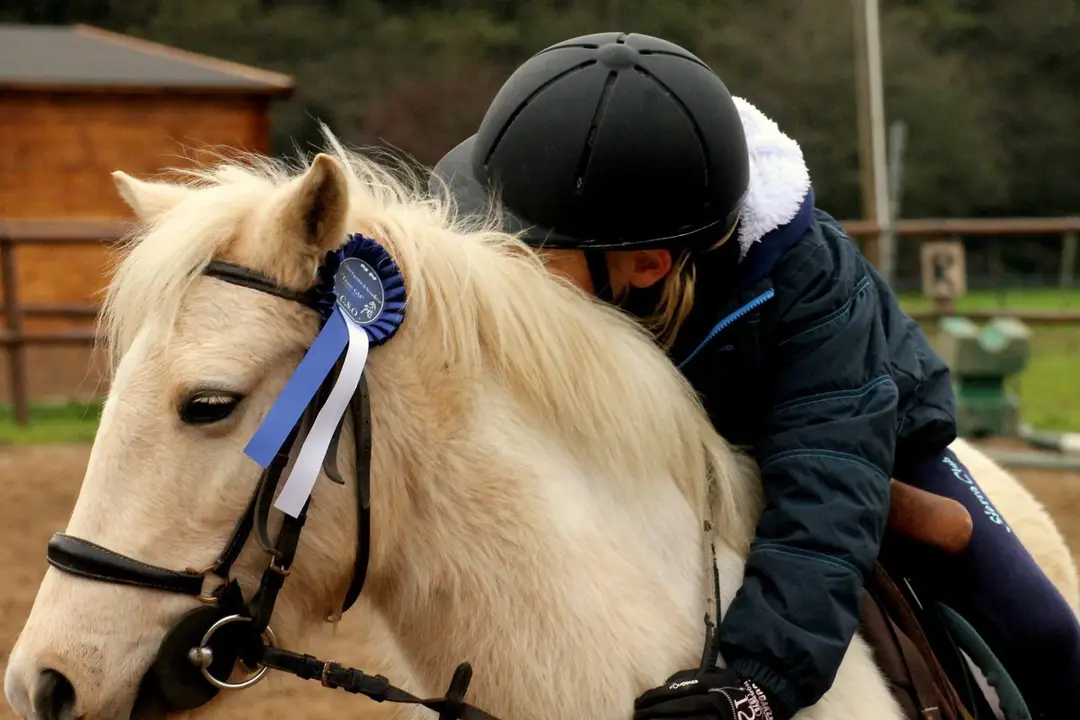 Equestrian Center De La Meilleraie