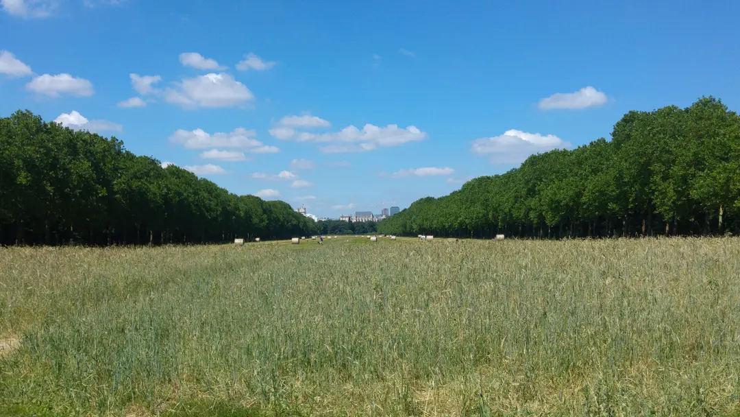 Parcours Sportif Daumesnil