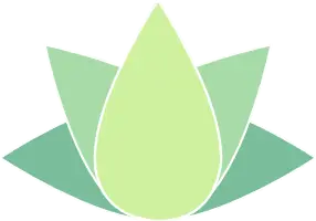Your Yoga Practice