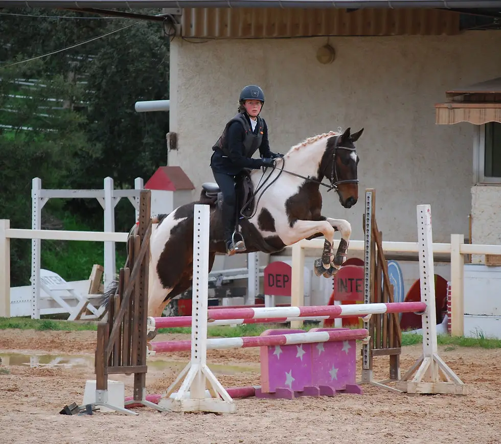 Centre Equestre Le Nénuphar