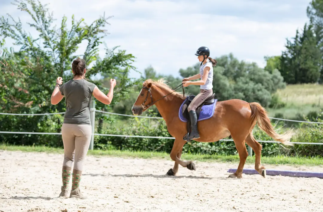 Shedfield Riding School