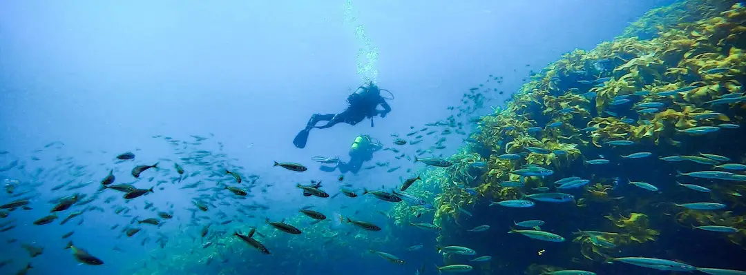 Dive Zone Whitianga