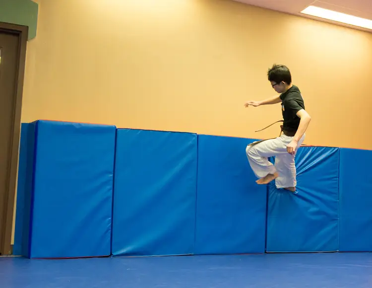 Tao of Peace Martial Arts & Life Skills