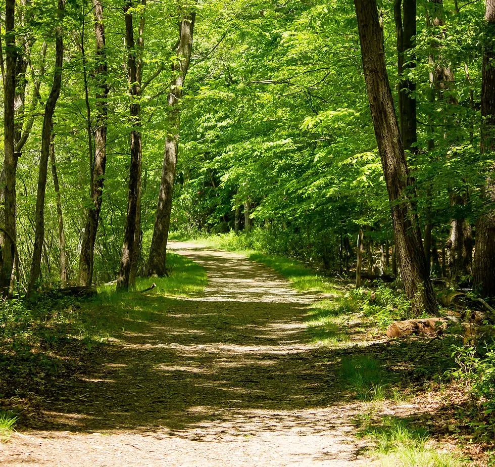 La Ferme Equestrian De La Forêt