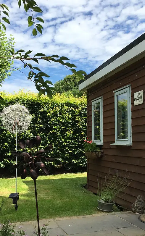 The Willow Clinic