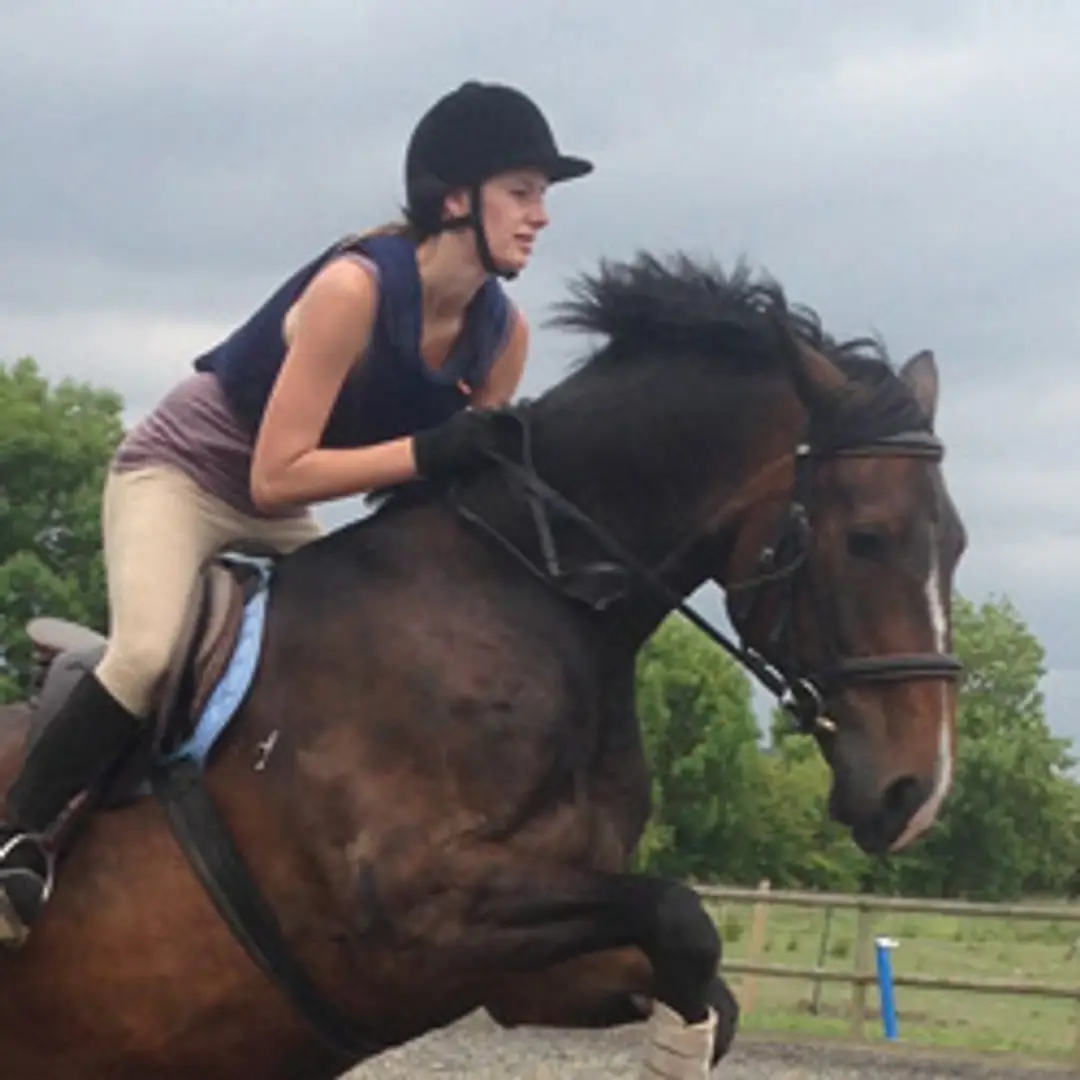 Littlefield Manor Horse Riding School. Licence number AWRL049