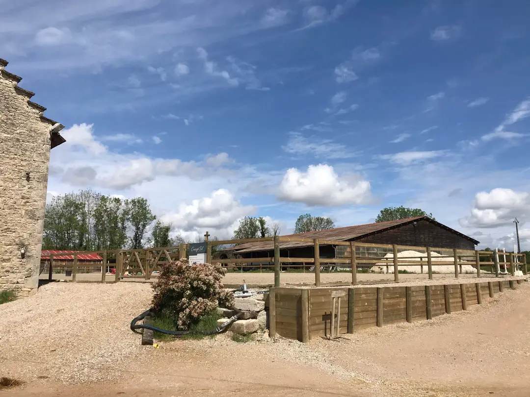 HARAS D ECOTIER