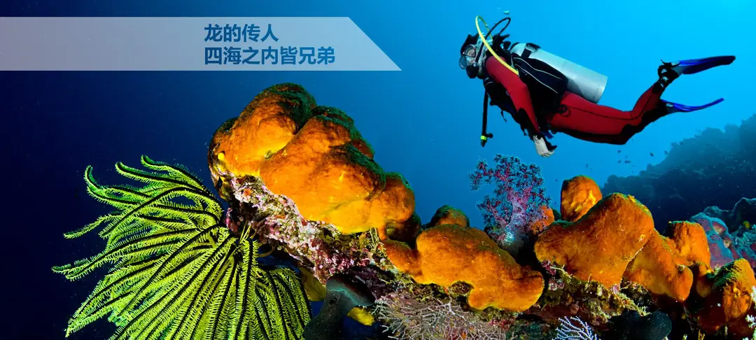 (7 Scuba)