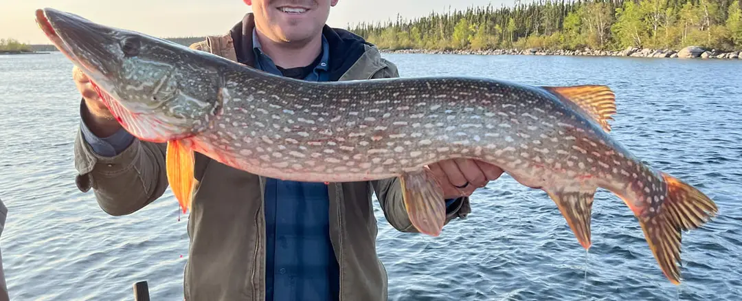 Hatchet Lake Lodge