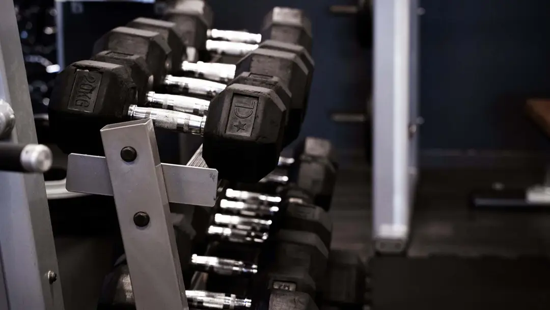Area Sports Club 🏋️