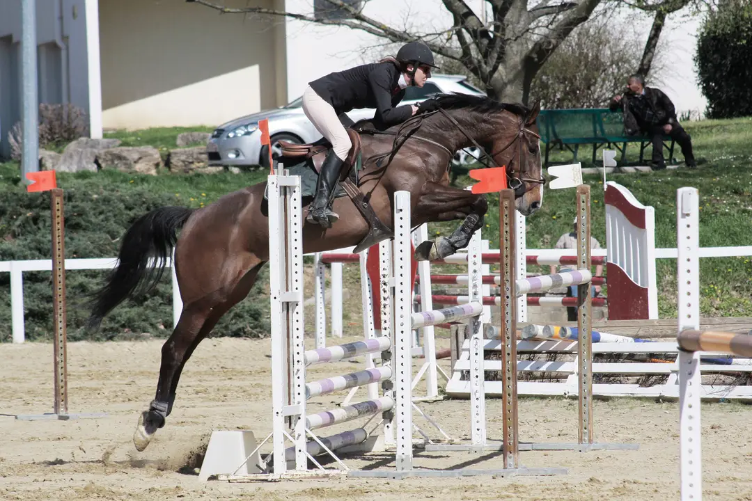 CENTRE EQUESTRE DES MILLIERES