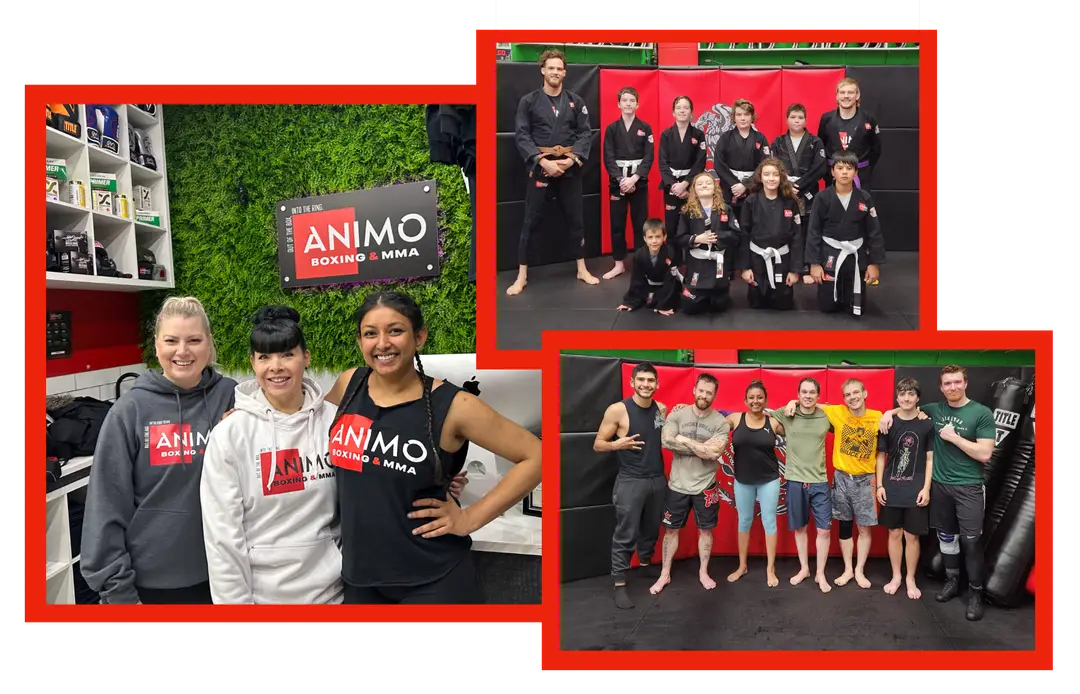 ANIMO Boxing & Mixed Martial Arts Gym