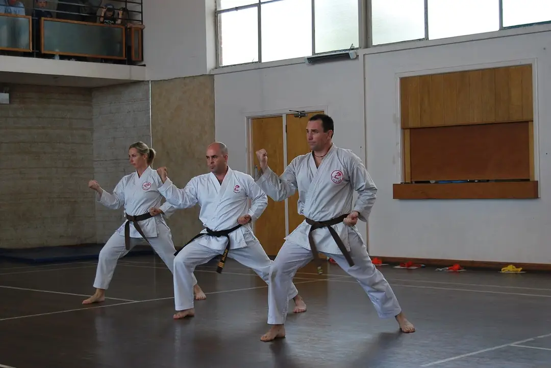 Toushido Karate Morning Training