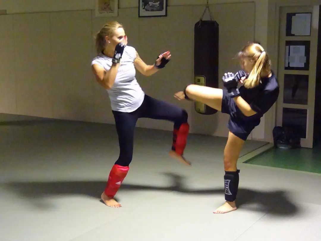 Self-Defense Villemoustaussou