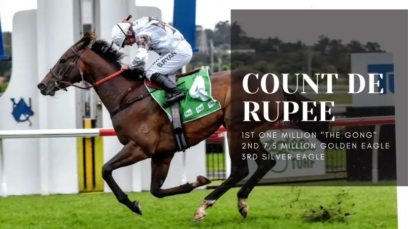 Robert & Luke Price Racing - Horse Training, Riding, Professional Trainers Berry