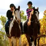 Billabong Ranch