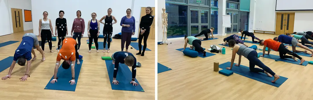 Yoga @ MA&Y