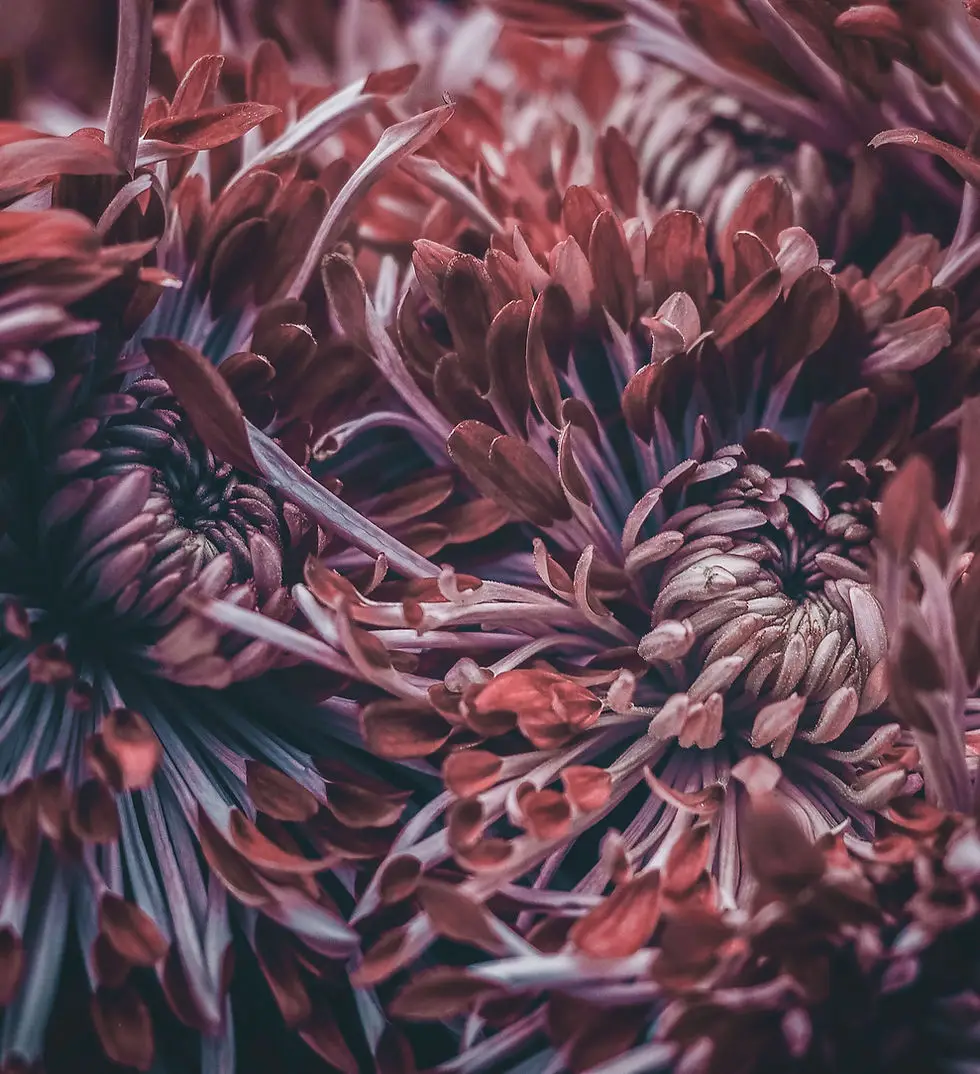 Yoga Fleur