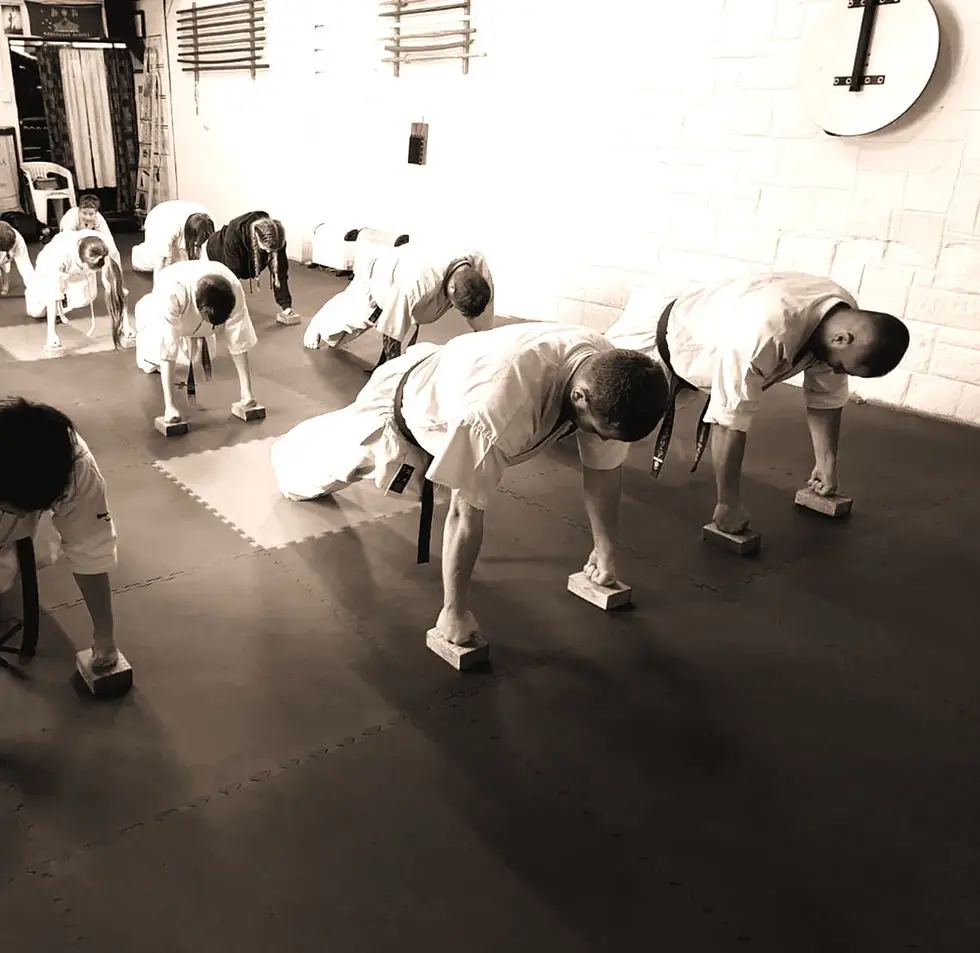Chikara Dojo