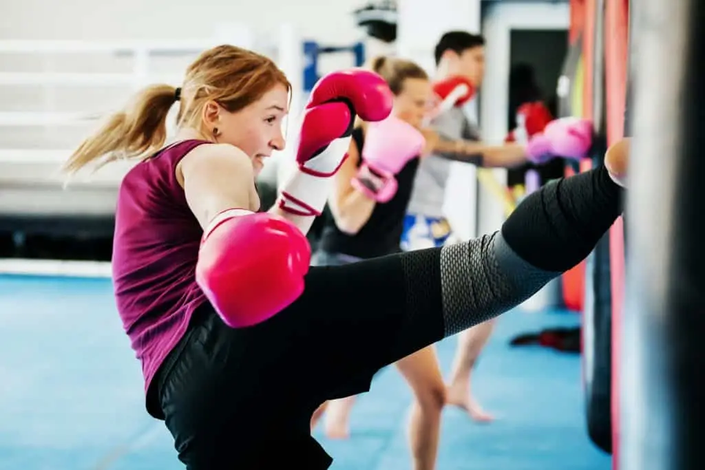 Lobo Academy of Malaysian Martial Arts