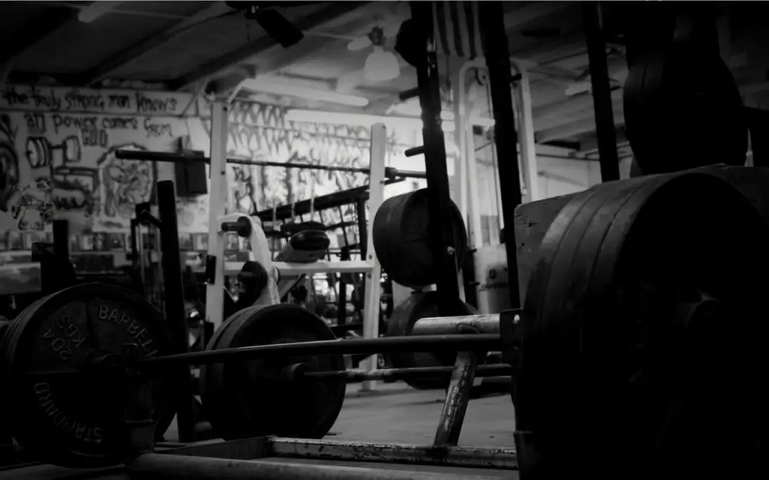 FORM Training