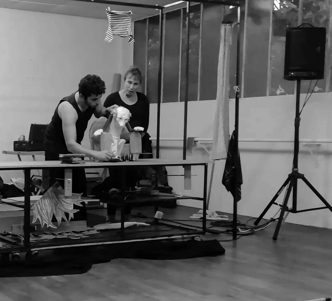 New Danse Studio