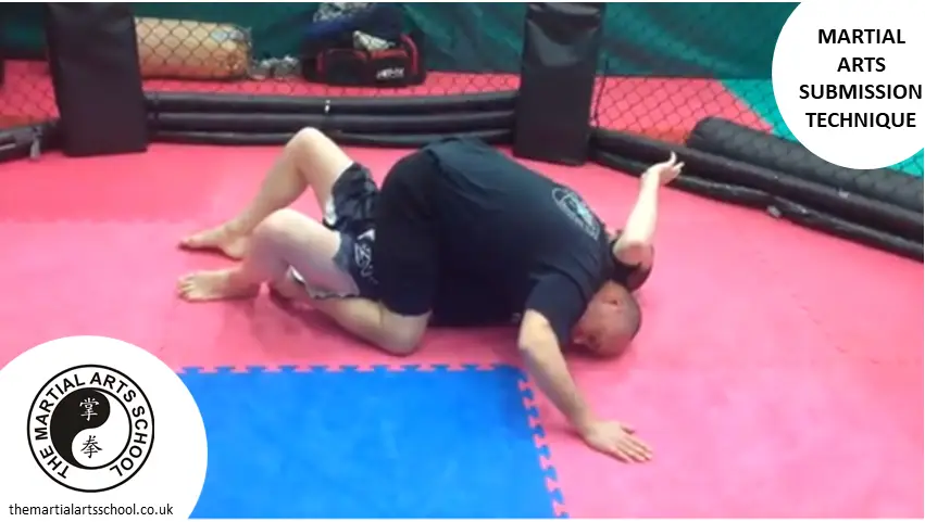 The Martial Arts School