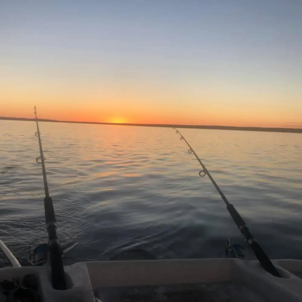 T-Cat Charters