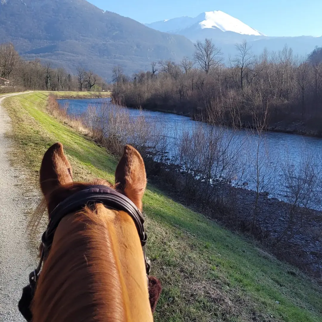 Equestrian Club 4 Fers