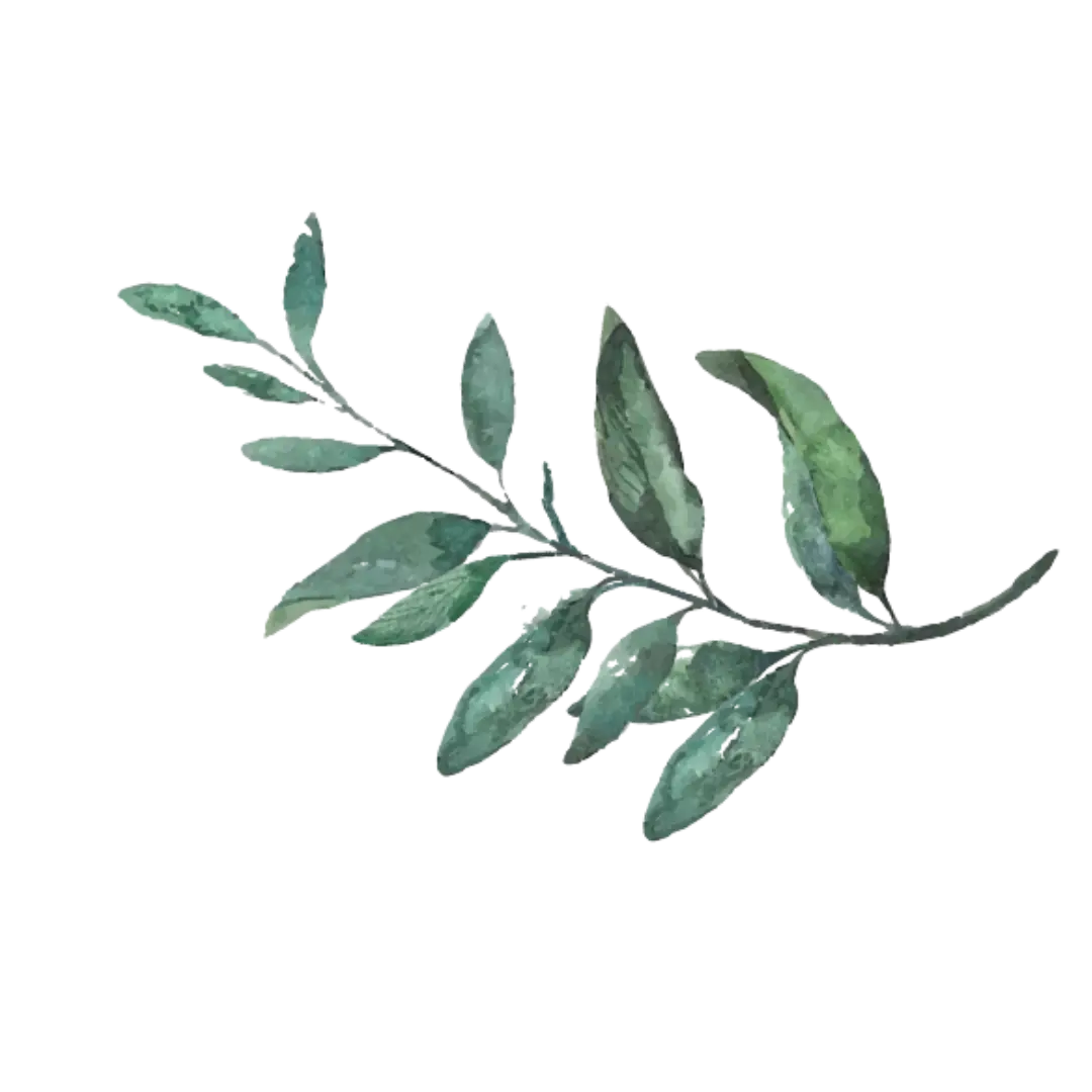 Tea Tree Wellness