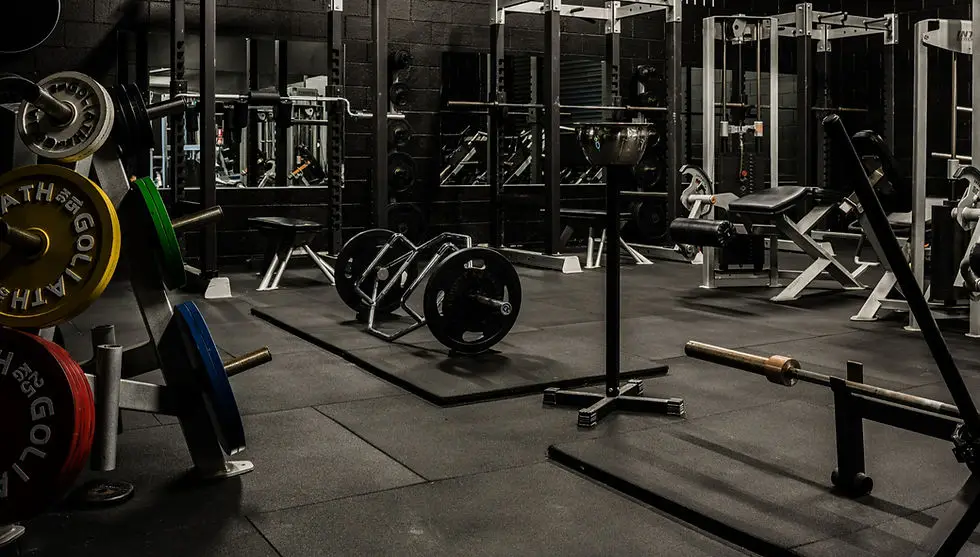 Elite Physiques