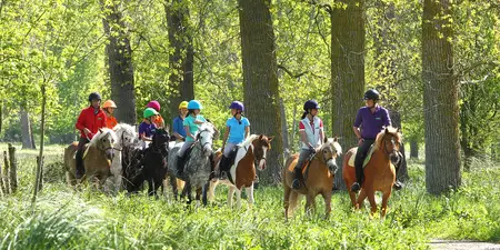 Equestrian Club De Dax Boulogne