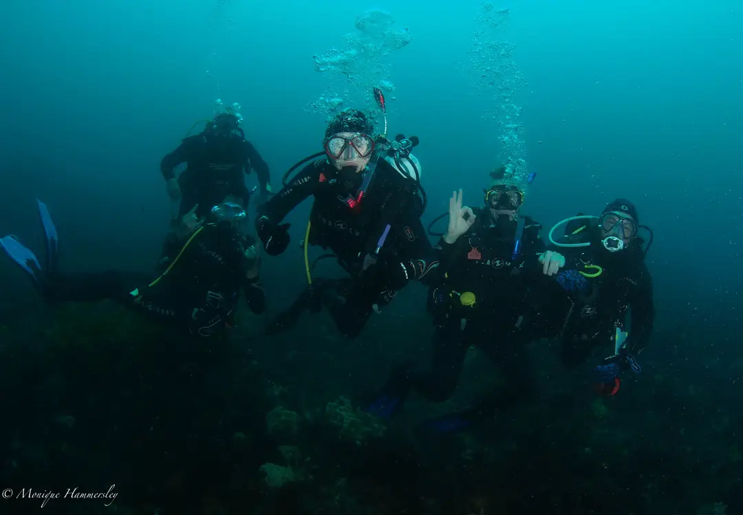 Diveline Scuba Centre - Learn to Scuba Dive in Melbourne with our PADI Open Water courses