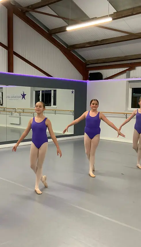 The Performing Arts Theatre Academy