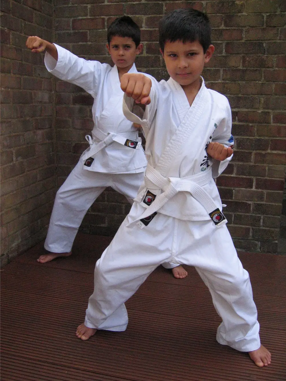 Essex Group of Uechi-Ryu Karate Clubs