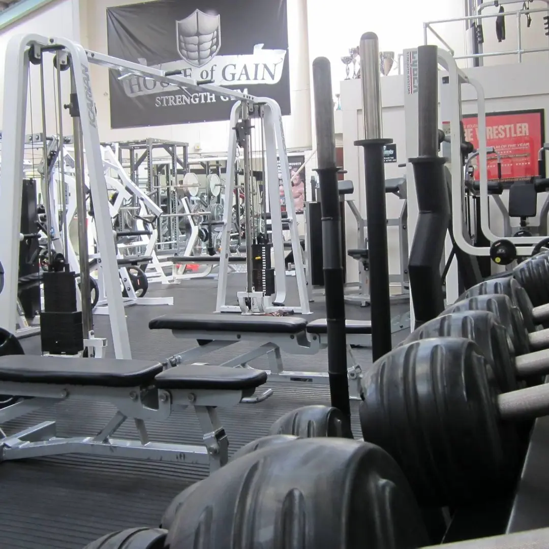 Repz Gym