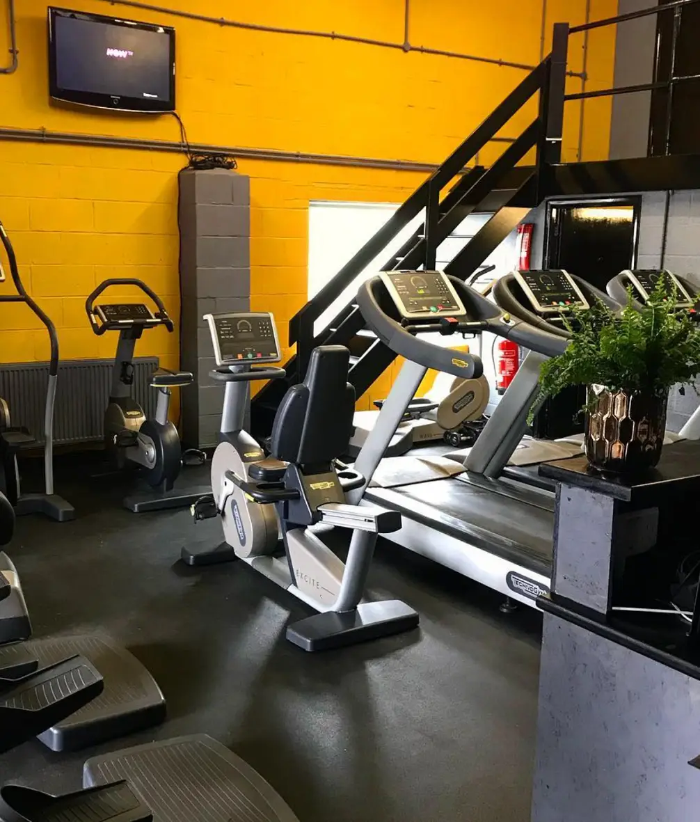 Iron Lion Gymnasium