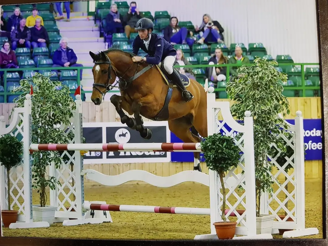 Prestige Equestrian