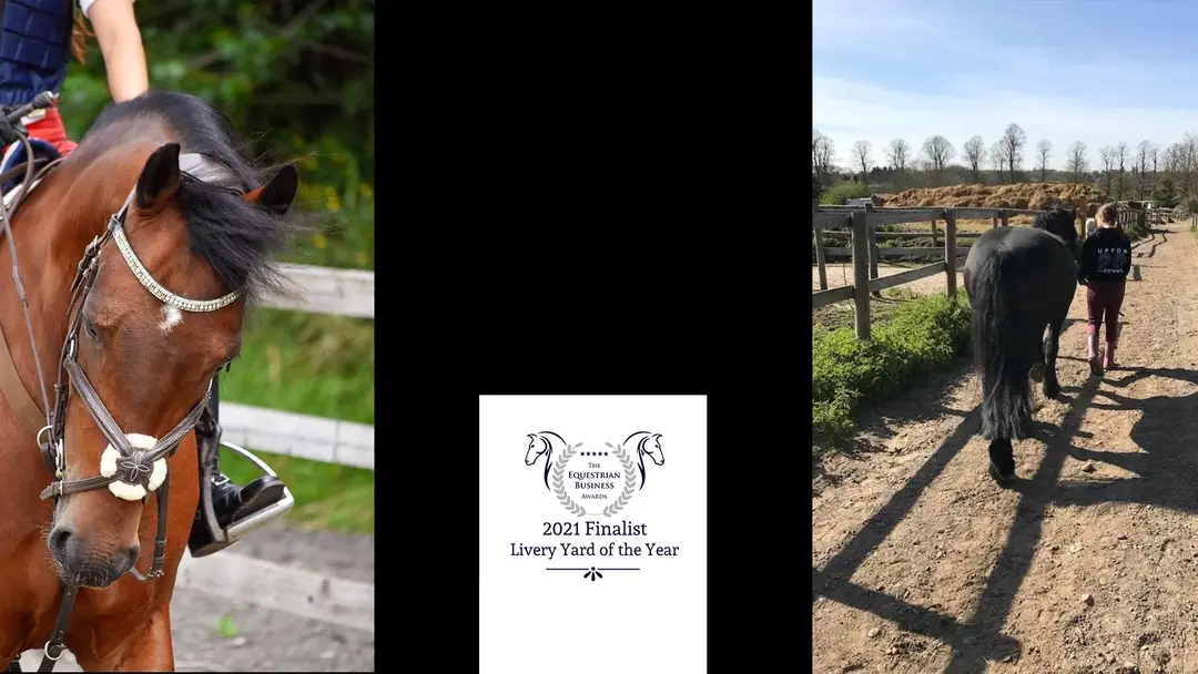 Old Bexley Equestrian Centre